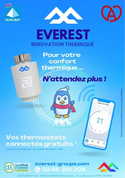 Installation de thermostat connecté gratuit avec aide de l'état pour votre radiateur de strasbourg STRASBOURG GROUPE EVEREST